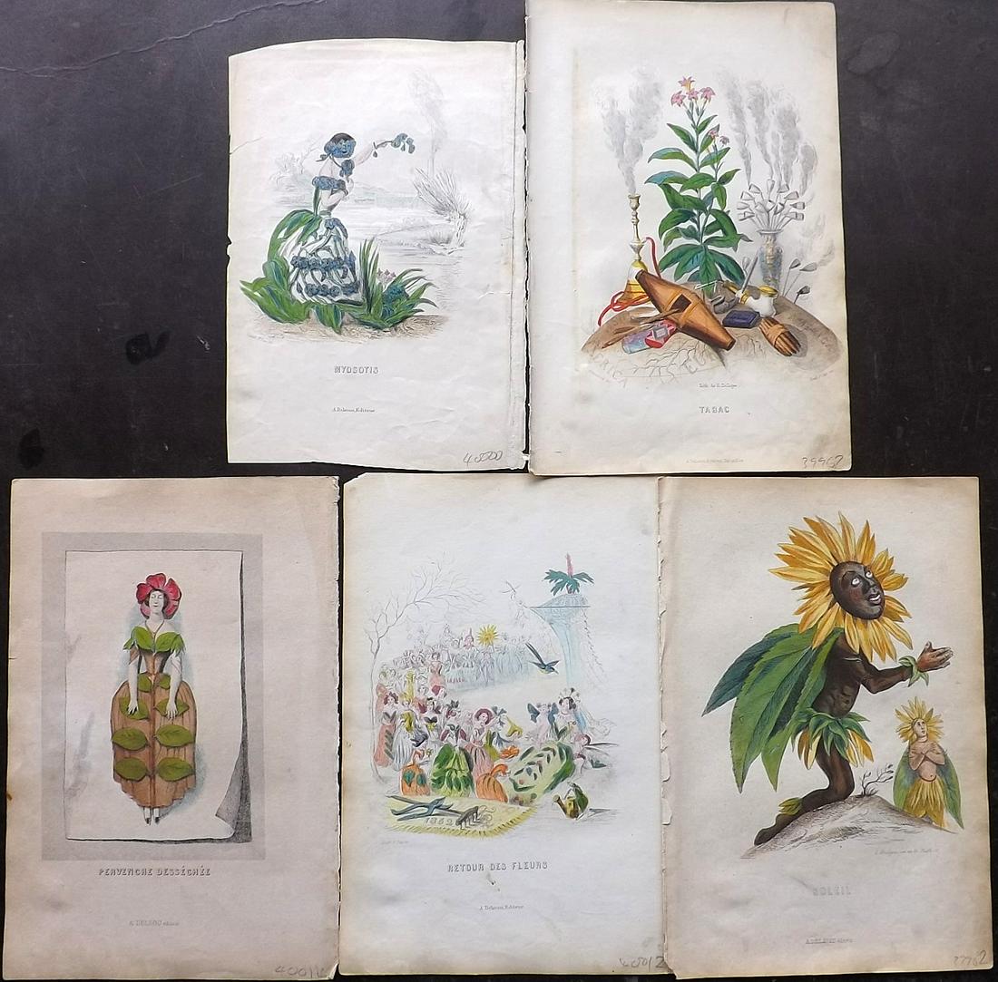 Grandville, J. J. 1852 Lot of 5 Hand Col Animal Flowers (1 of 2)