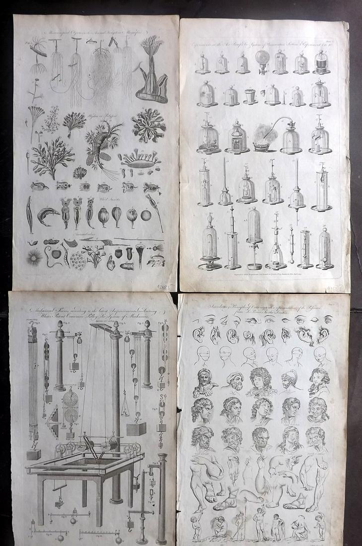 Hall, William 1795 Lot of 4 Folio Science & Tech Prints: Incl Mechanical Powers, Principles of Drawings, Air Pump, and Microscopical Objects in the Animal Kingdom. Folio Copper Plate Published 1795 by C. Cooke, London for "The New Royal Encyclopedia, Or, Co