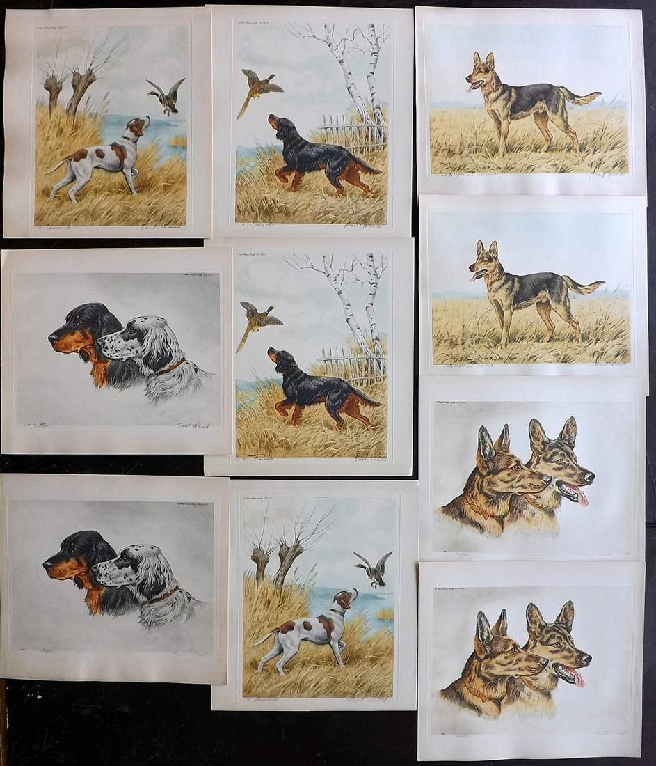 Wood, Paul C1935 Lot of 10 Signed Dog Etchings (1 of 2)