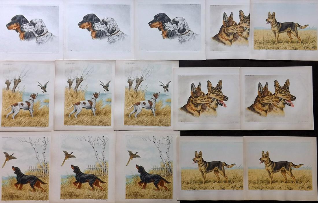 Wood, Paul C1935 Lot of 15 Signed Dog Etchings (1 of 2)