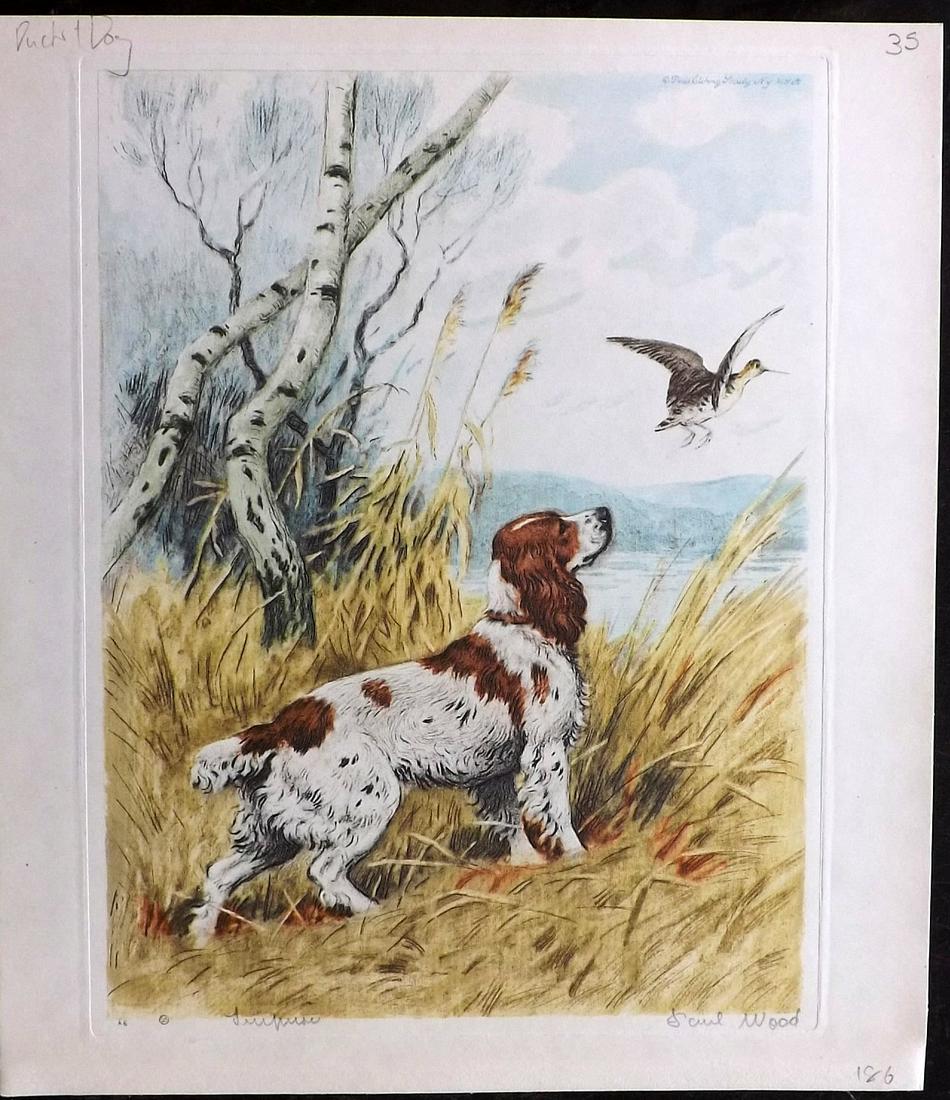 Wood, Paul C1935 Signed Dog Etching. Duck & Dog (1 of 1)