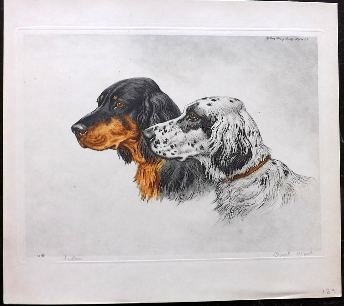 Wood, Paul C1935 Signed Dog Etching. Setters (1 of 1)