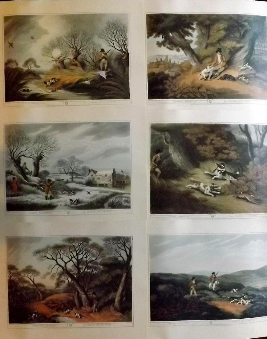 Orme & Howitt Field Sports 1955 Lot 6 LG REPRO Prints (1 of 2)
