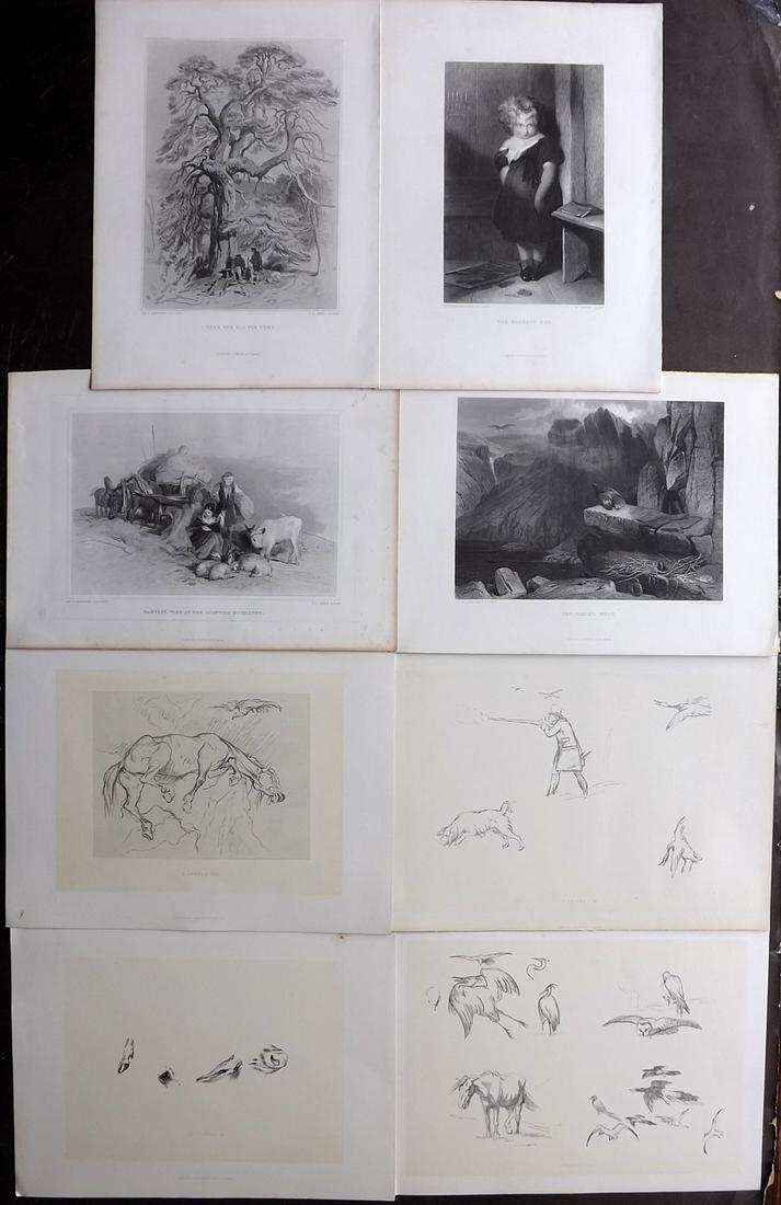 Landseer, Edwin 1880 Lot of 8 Natural History etc (1 of 2)