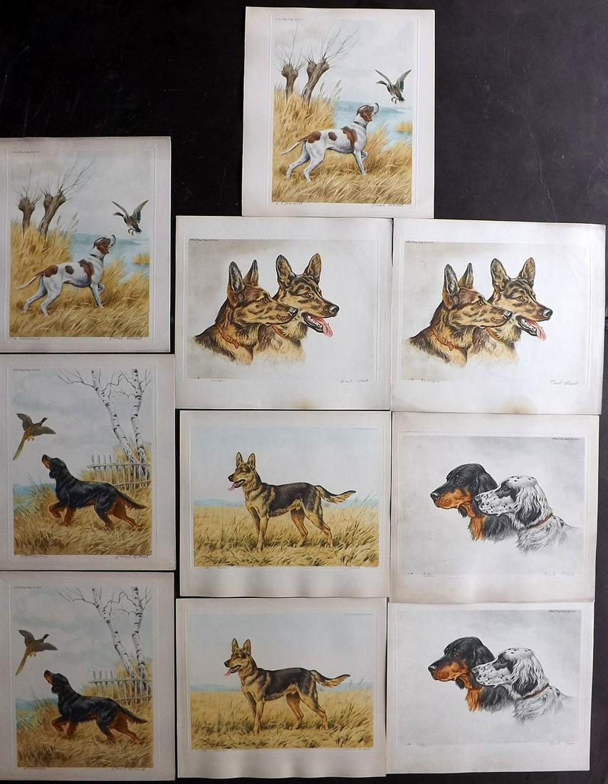 Wood, Paul C1935 Lot of 10 Signed Dog Etchings (1 of 2)