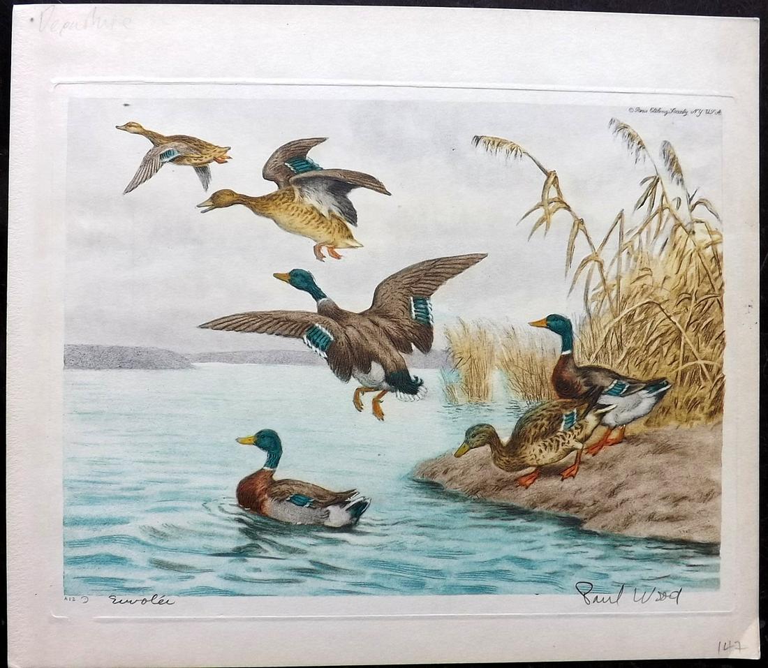 Wood, Paul C1935 Signed Bird Etching. Departure (1 of 2)