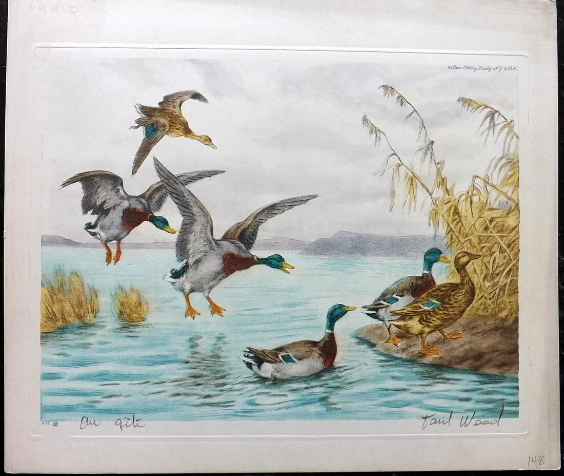 Wood, Paul C1935 Signed Bird Etching. Ducks (1 of 2)