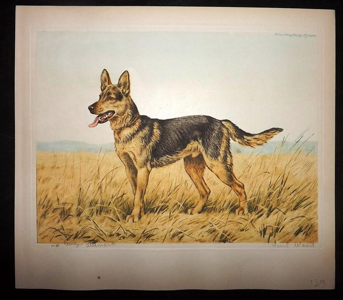 Wood, Paul C1935 Signed Dog Etching. Berger Allemand: Colour Printed Etching Published C1935 by the Paris Etching Society, New York. Drawn & Etched by Paul Wood. Signed and Titled in pencil by Wood, bottom margin. Paper Size: 9.5 x 8.5 inch (24 x 22cm) G