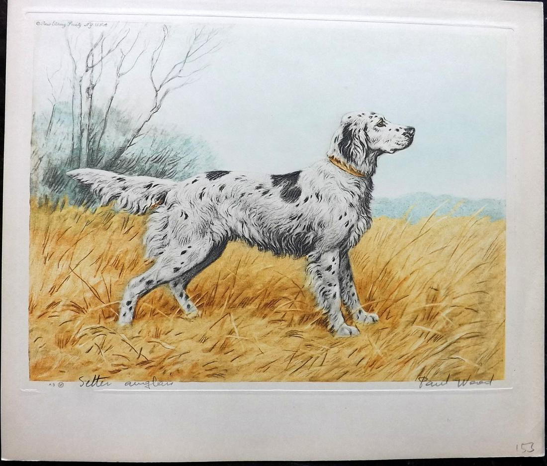 Wood, Paul C1935 Signed Dog Etching. Setter Anglais (1 of 2)
