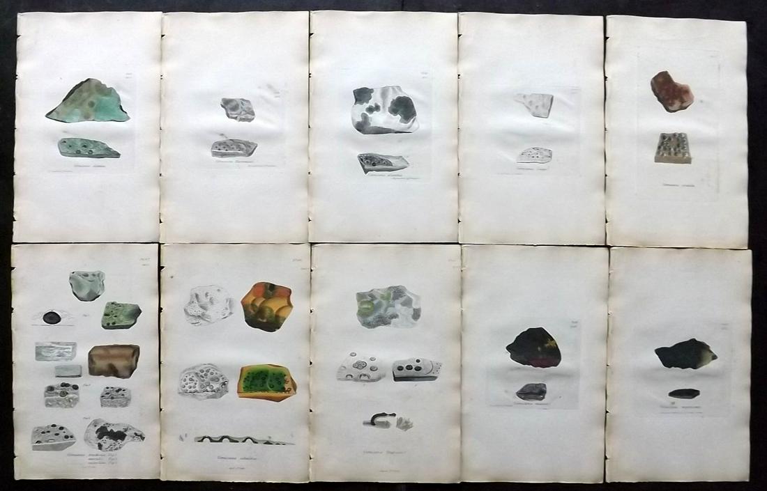 Sowerby, James 1846 Lot 10 HC Botanical Prints. Lichens: Hand Coloured Etchings Published London, 1832-46 for "English Botany; or, Coloured Figures of British Plants…" Second Edition by James Sowerby and Edward Smith. Paper Size: 9 x 5.5 inch (23 x 14cm) 