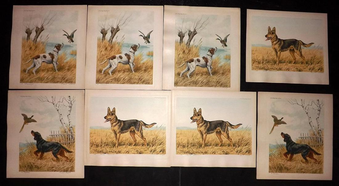 Wood, Paul C1935 Lot of 8 Signed Dog Etchings (1 of 2)