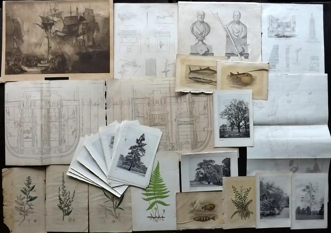 Mixed Prints C1820-1907 Lot of 33 Prints (1 of 6)