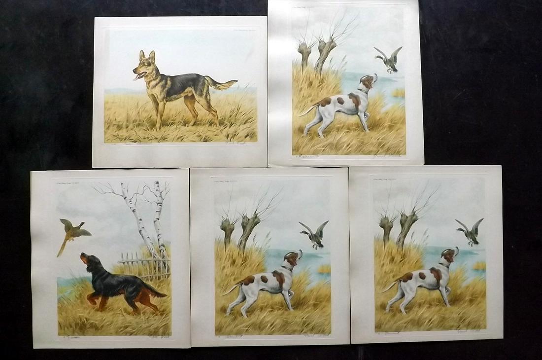 Wood, Paul C1935 Lot of 5 Signed Dog Etchings (1 of 2)