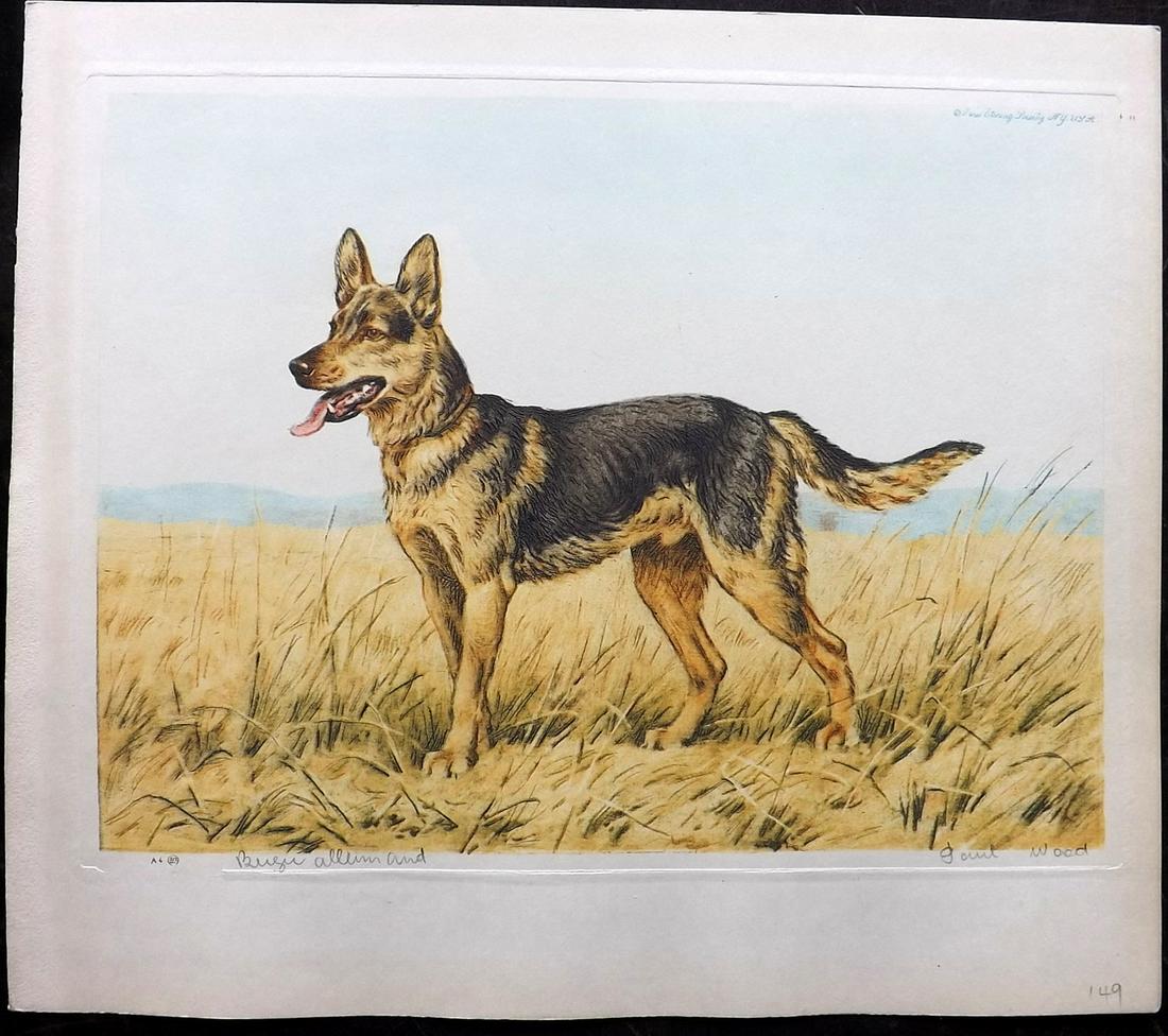 Wood, Paul C1935 Signed Dog Etching. Berger Allemand: Colour Printed Etching Published C1935 by the Paris Etching Society, New York. Drawn & Etched by Paul Wood. Signed and Titled in pencil by Wood, bottom margin. Paper Size: 9.5 x 8.5 inch (24 x 22cm) G