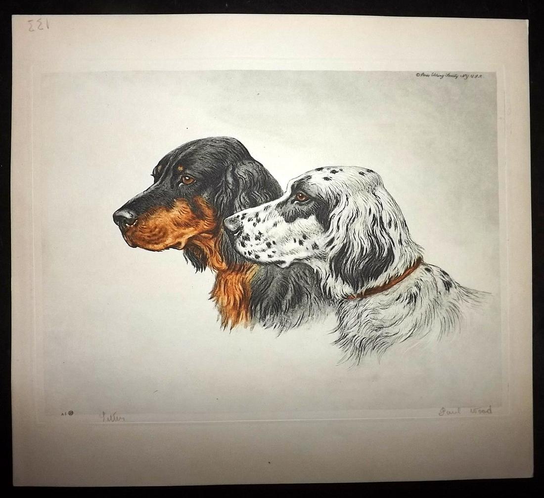 Wood, Paul C1935 Signed Dog Etching. Setters (1 of 1)