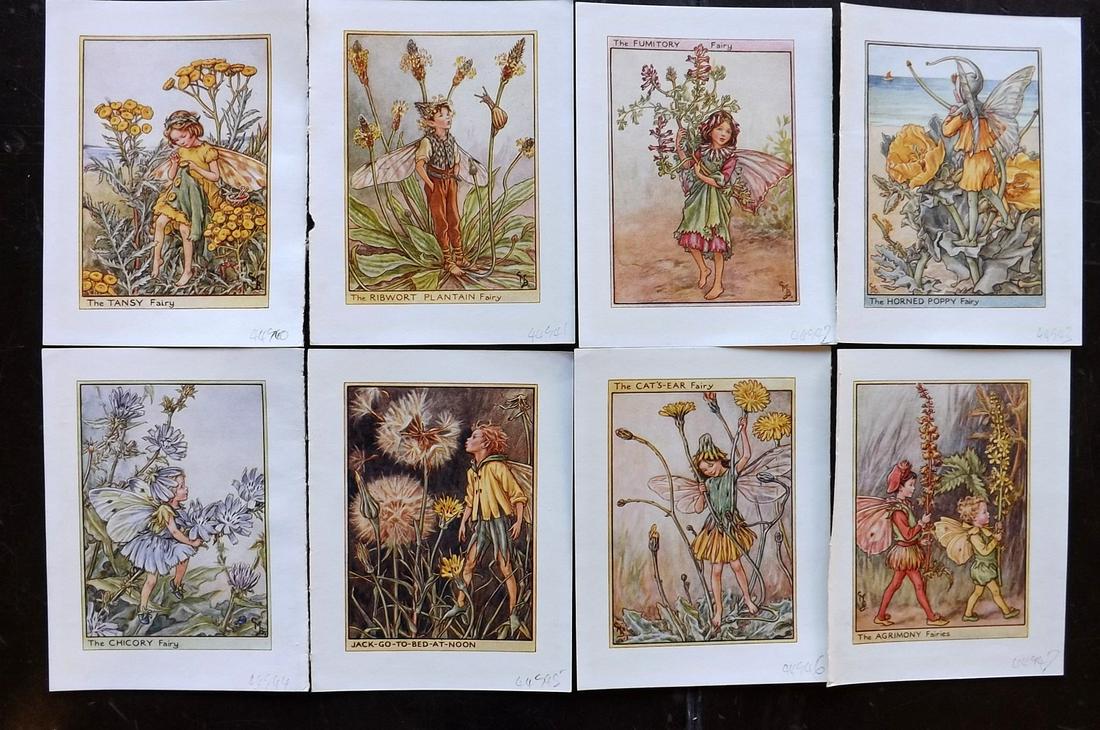 Barker, Cicely Mary C1940 Lot of 8 Flower-Fairy Prints: Lithographs Published C1935-45 by Blackie & Son, London & Glasgow for the "Flower-Faries" Series by Cicely Mary Barker. Reverse side blank. Paper Size: 5.5 x 4 inch (14 x 10cm) Good Condition