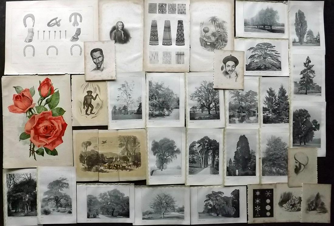 Mixed Prints C1850-1907 Lot of 30 (1 of 5)