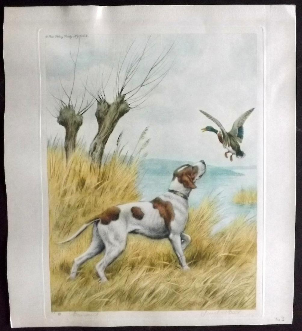 Wood, Paul C1935 Signed Dog Etching. Canard (1 of 2)