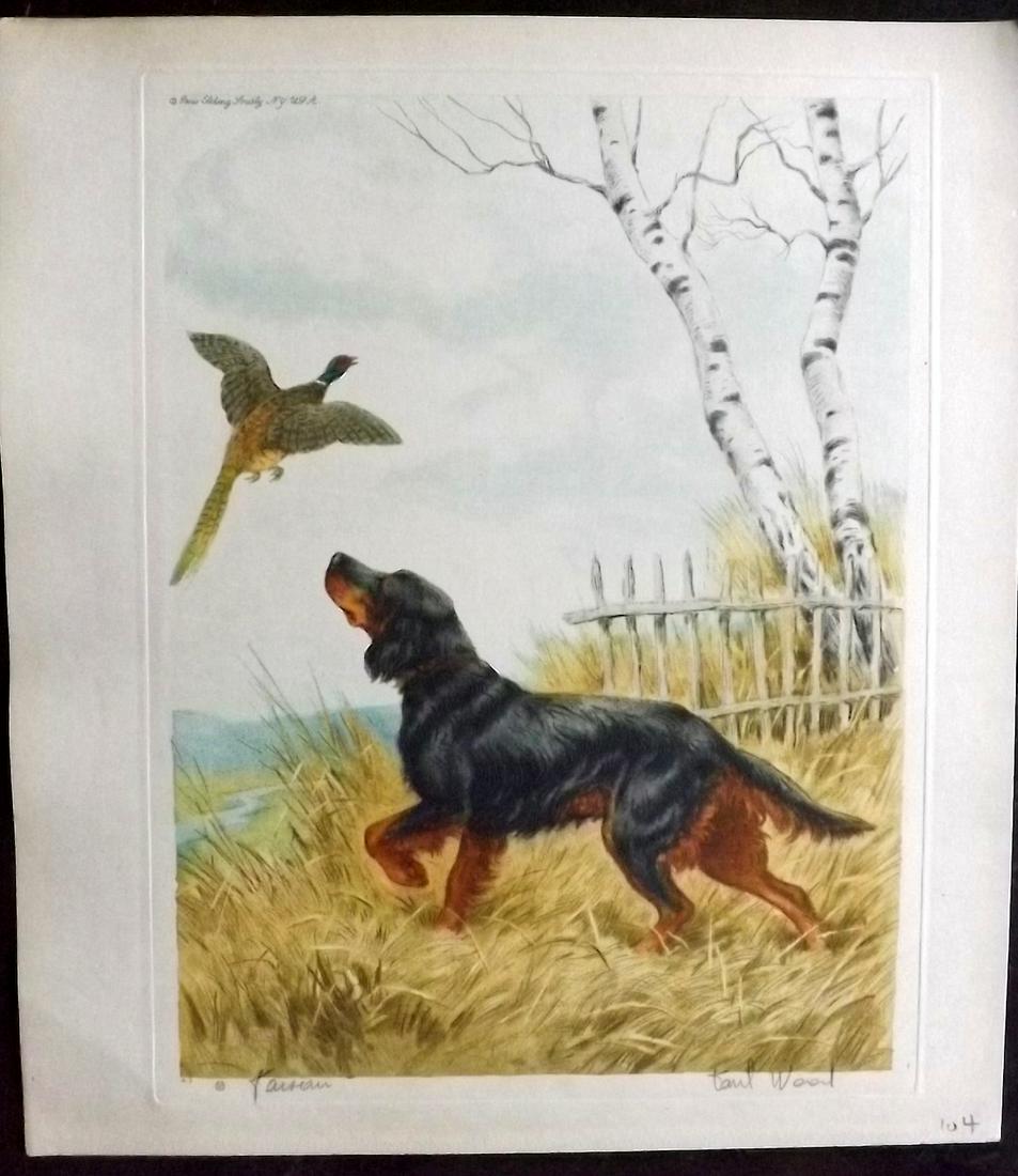 Wood, Paul C1935 Signed Dog Etching. Faisan (1 of 2)