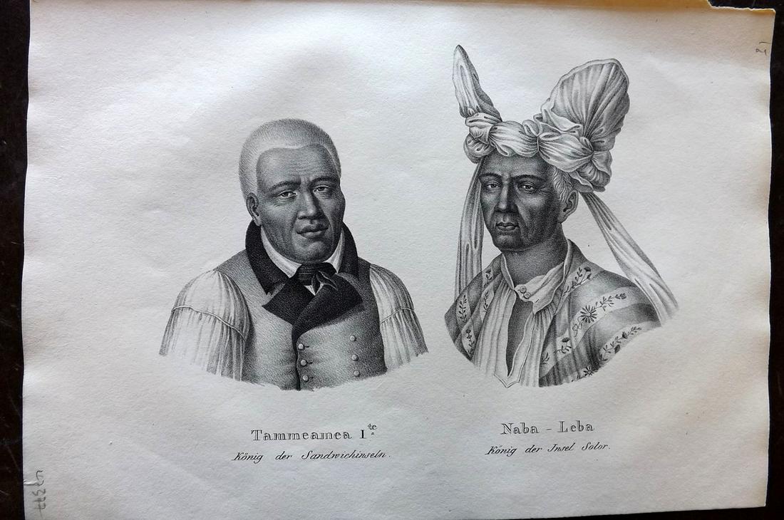 Schinz & Brodtmann 1827 Folio Print. Hawaii & Indonesia (1 of 2)
