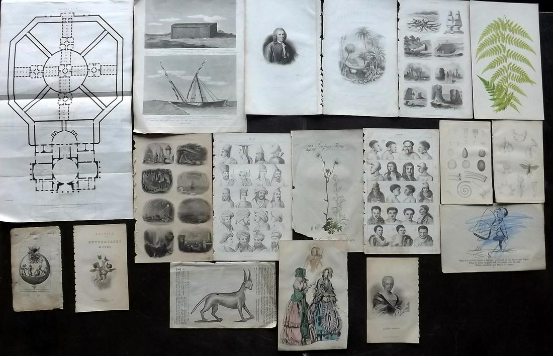 Mixed Prints 18th-19th Century. Lot of 17 (1 of 2)