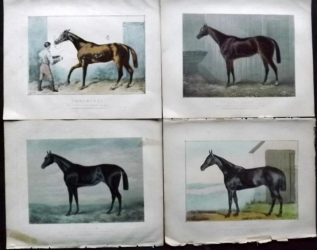 Miles, W. J. C1895 Lot of 4 Hand Col Horse Prints (1 of 2)