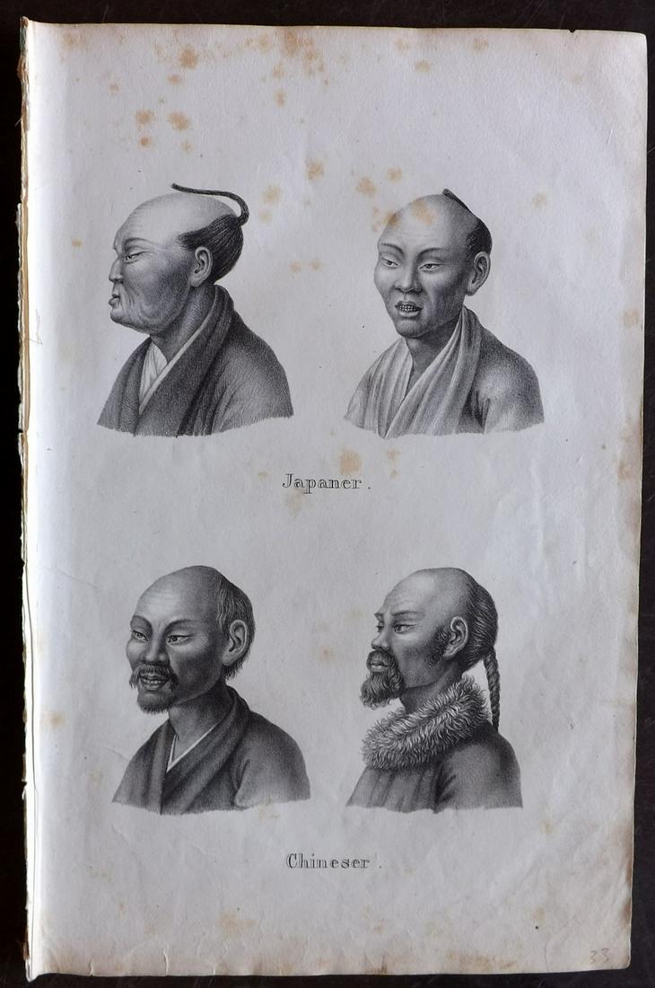 Schinz & Brodtmann 1827 Folio Print. China & Japan: Folio Lithograph Published Zurich 1827 for "Naturhistorische Abbildungen der Saeugethiere" by Heinrich Rudolph Schinz. Lithographed by Karl Joseph Brodtmann. Paper Size: 13 x 9.5 inch (33 x 24cm) Some