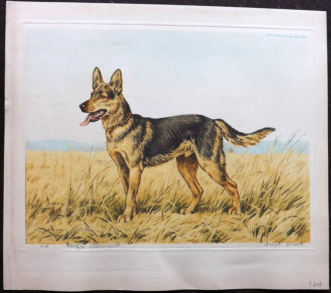 Wood, Paul C1935 Signed Dog Etching. Berger Allemand: Colour Printed Etching Published C1935 by the Paris Etching Society, New York. Drawn & Etched by Paul Wood. Signed and Titled in pencil by Wood, bottom margin. Paper Size: 9.5 x 8.5 inch (24 x 22cm) G