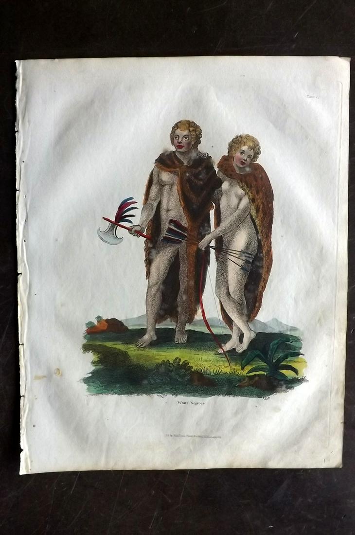 Buffon & Smellie C1821 HCol Print White Negroes. Africa: Hand Colored Copper Plate Published C1821 by Thomas Kelly, London for "A Natural History, General and Particular..." by The Comte de Buffon and William Smellie. Paper Size: 10 x 8 inch (26 x 21cm) Ver
