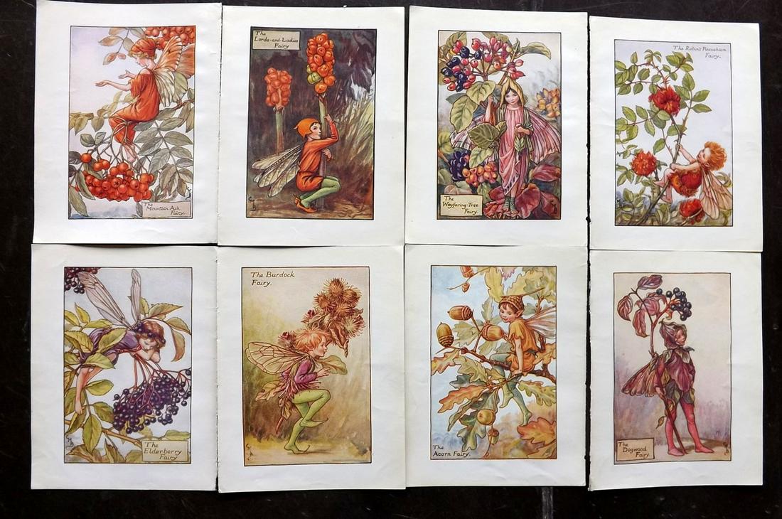 Barker, Cicely Mary C1940 Lot of 8 Flower-Fairy Prints: Lithographs Published C1935-45 by Blackie & Son, London & Glasgow for the "Flower-Fairies" Series by Cicely Mary Barker. Reverse side blank. Paper Size: 5.5 x 4 inch (14 x 10cm) Good Condition