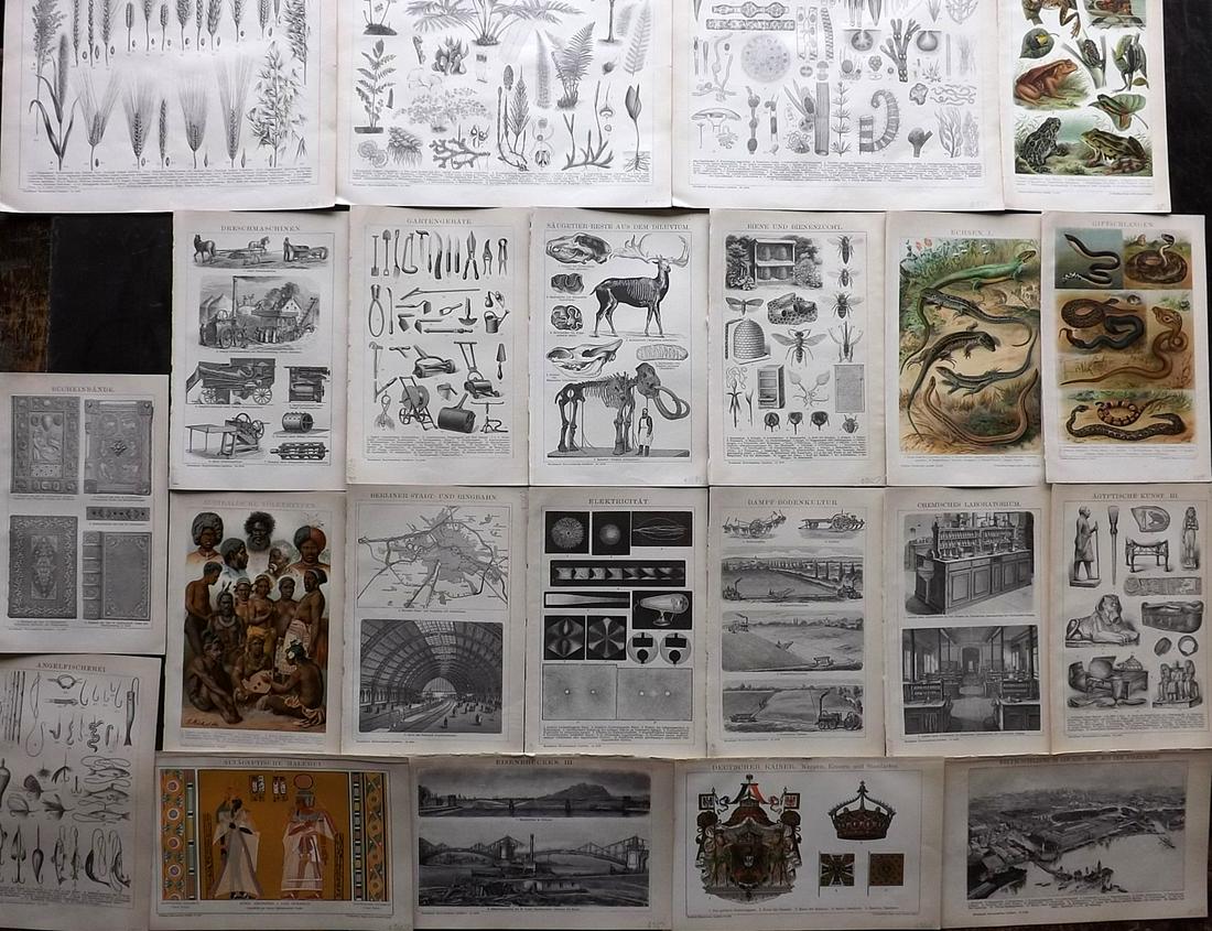 Brockhaus (Pub) 1890's Mixed Lot of 22 Antique Prints: Incl Botanical, Natural History, USA Views, Science, Agriculture, Australia Aborigine, Heraldry, Trains and Bookbinding. Lithographs and Chromolithographs Published 1892-98 by F. A. Brockhaus, Leipzig