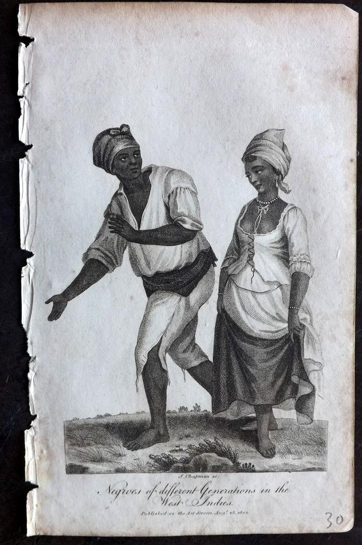 Linnaeus & Sibly 1803 Print. Negroes of the West Indies: Copper Plate Published 1794-1810, London for "A Genuine and Universal System of Natural History" by Carl Linnaeus and Ebenezer Sibly. Illustrated after George Edwards, Bloch, Knorr, Buffon and others.