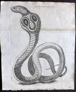 Shaw, Simeon 1823 Print. Hooded Snake. India: "Hooded Snake of Hindostan" after William Forbes. Copper Plate Published 1823, London for "Nature Displayed in the Heavens, and on the Earth" by Simeon Shaw. Folds as issued. Paper Size: 9.5 x 8 inch