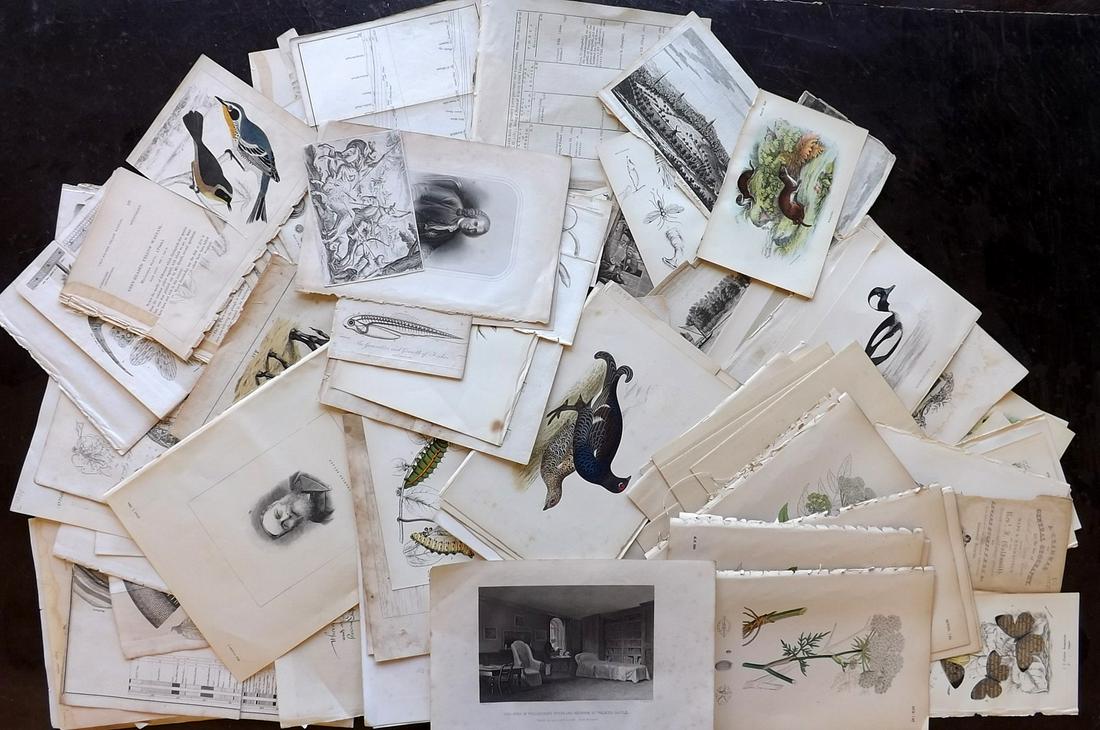 Mixed Prints & Charts 18th-19th Cent. Lot of 100 (1 of 11)