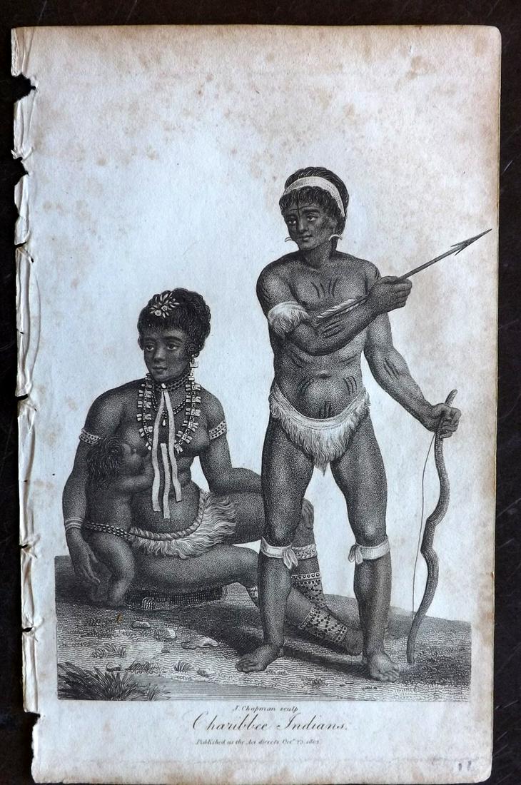 Linnaeus & Sibly 1802. Charibee Indians, West Indies: Copper Plate Published 1794-1810, London for "A Genuine and Universal System of Natural History" by Carl Linnaeus and Ebenezer Sibly. Illustrated after George Edwards, Bloch, Knorr, Buffon and others.