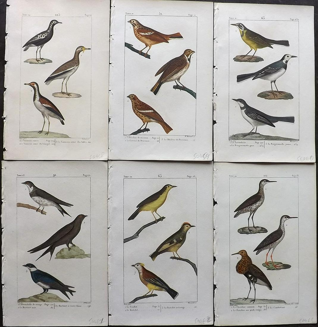 Buffon & Lacepede 1820 Lot of 6 HCol Bird Prints (1 of 2)