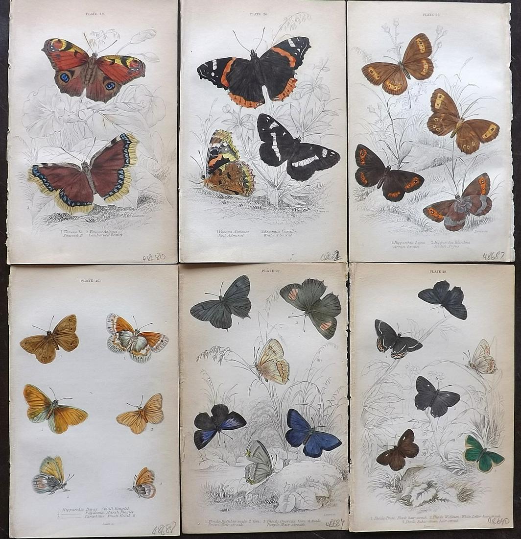 Jardine, William C1840 Lot of 6 HCol Butterfly Prints (1 of 2)