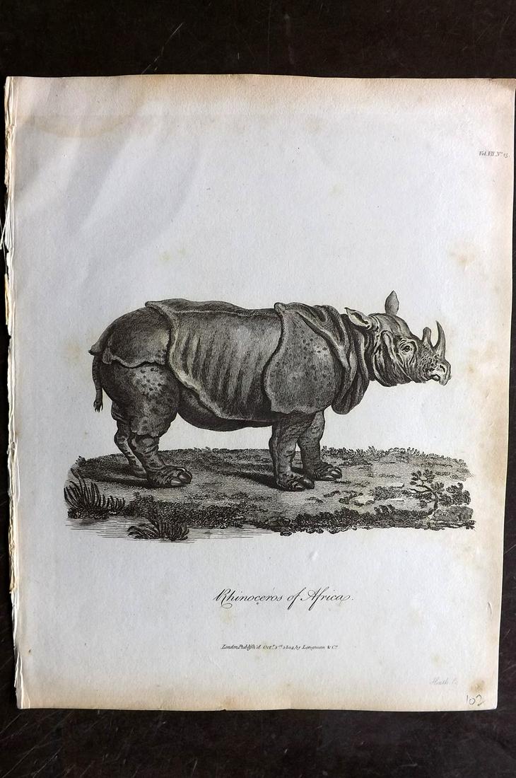 Bruce, James 1813 Antique Print. Rhinoceros of Africa (1 of 2)