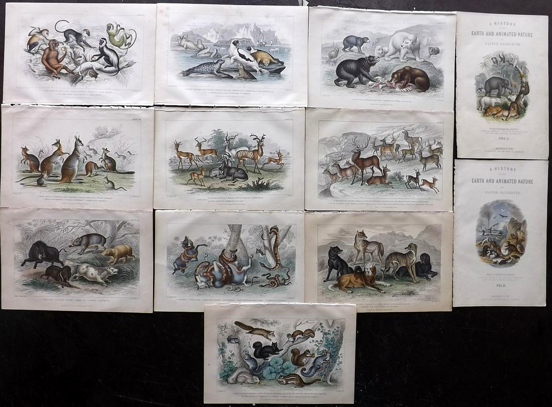 Goldsmith, Oliver 1873 Lot of 12 Hand Col Prints (1 of 2)