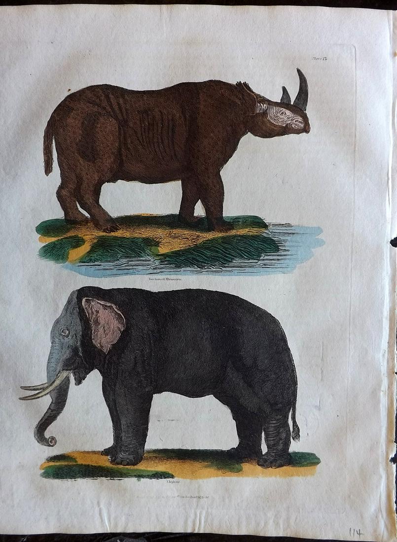 Buffon & Smellie C1821 HCol Print. Elephant, Rhino: Hand Colored Copper Plate Published C1821 by Thomas Kelly, London for "A Natural History, General and Particular..." by The Comte de Buffon and William Smellie. Paper Size: 10 x 8 inch (26 x 21cm) Ver