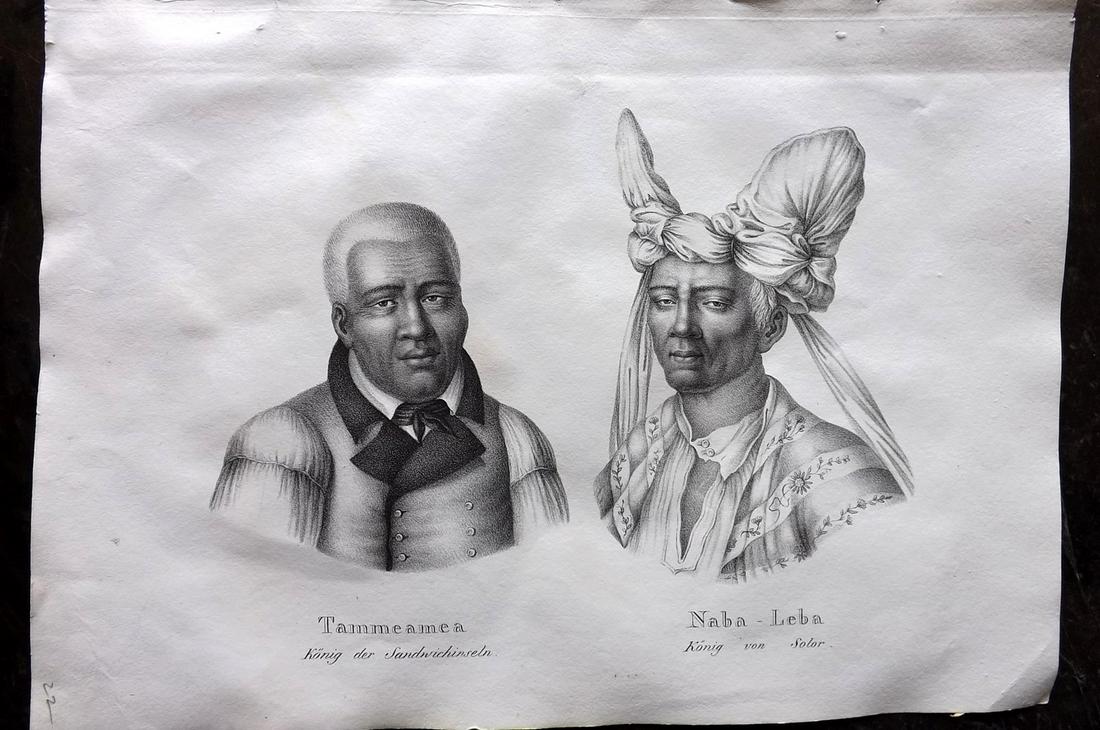 Schinz & Brodtmann 1827 Folio Print. Hawaii & Indonesia (1 of 2)