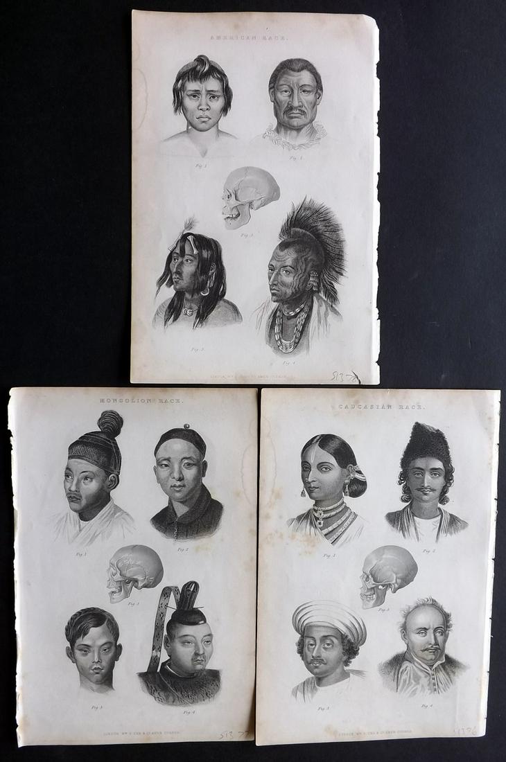 Cuvier, Baron 1854 Lot of 3 Prints. Native Studies (1 of 2)