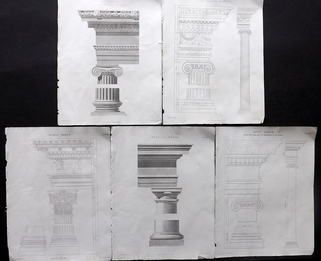 Lomax, Edward 1852 Lot of 5 Architecture Columns (1 of 2)