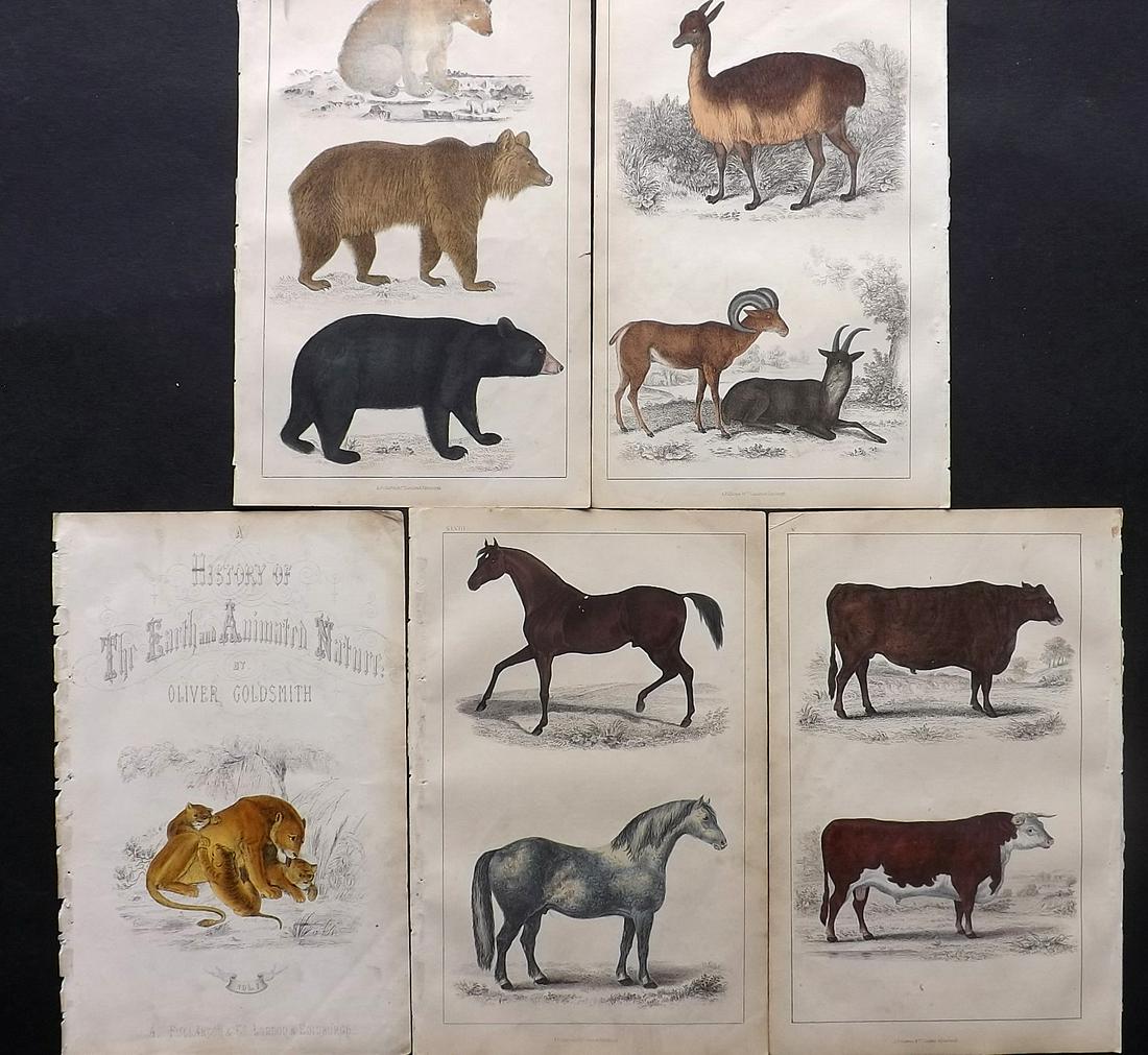 Goldsmith, Oliver 1850 Lot of 5 Hand Col Prints (1 of 2)