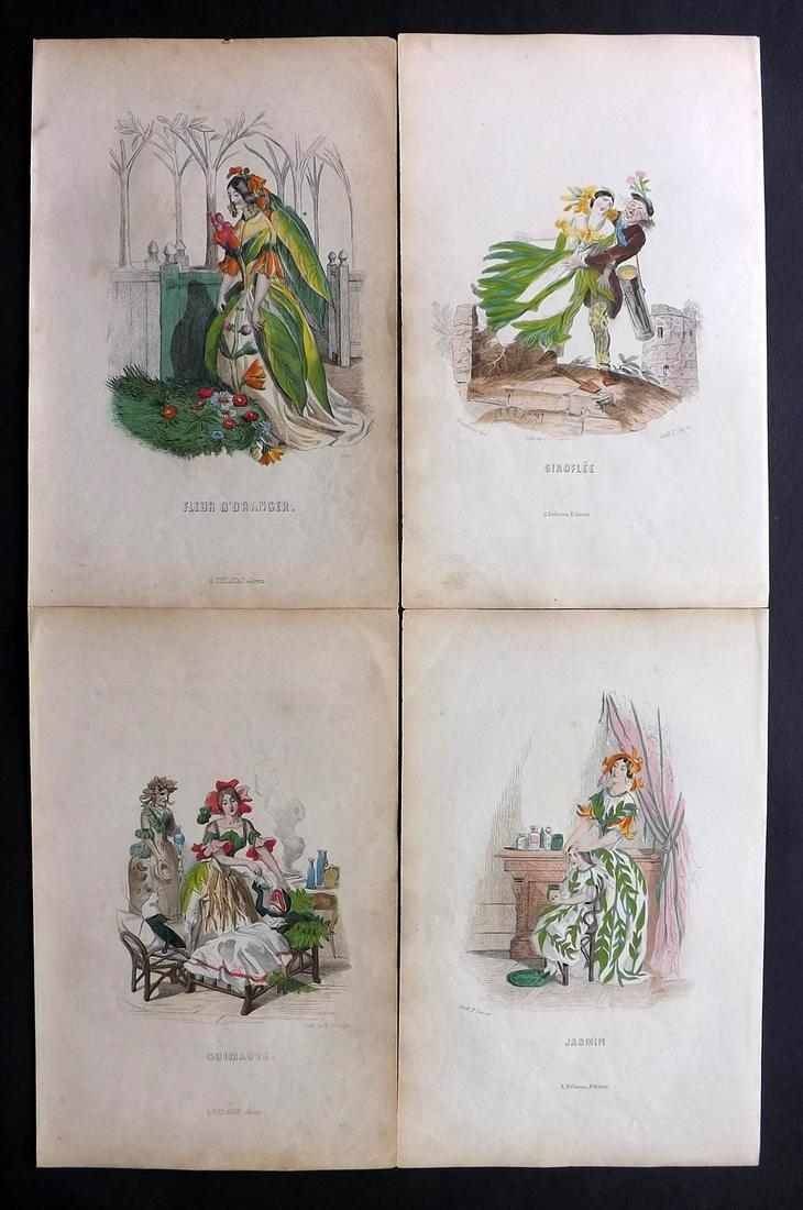 Grandville, J. J 1867 Lot of 4 Hand Col Botanical (1 of 2)