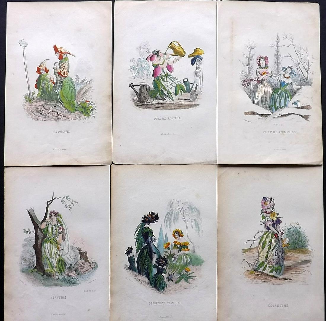 Grandville, J. J 1867 Lot of 6 Hand Col Botanical (1 of 2)