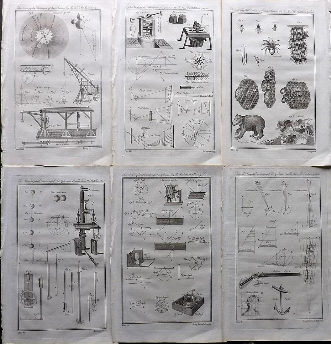 Middleton, Erasmus 1778 Lot of 6 Folio Science Prints: Multi Subject images on each plate. Folio Copper Plates Published 1778, London for "The New Complete Dictionary of Arts and Sciences" by the Rev. Erasmus Middleton and others. Paper Size: 13.75 x 8.5 