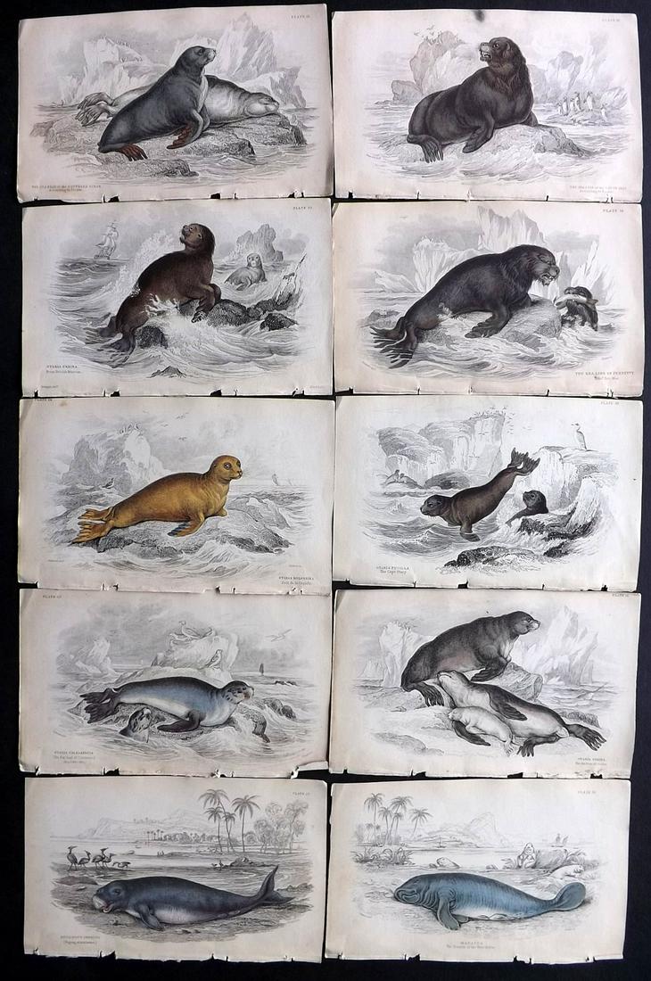 Jardine, William C1835 Lot of 10 HCol Prints. Seals etc (1 of 2)