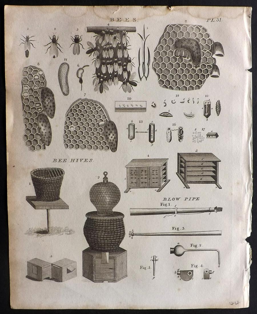 Russell, S. (Pub) 1806 Antique Print. Bees & Hives etc: Plus unrelated image, lower right. Copper Plate Published 1806, Manchester for "The British Encyclopaedia" by Various. Paper Size: 10 x 8 inch (26 x 21cm) Minor margin staining