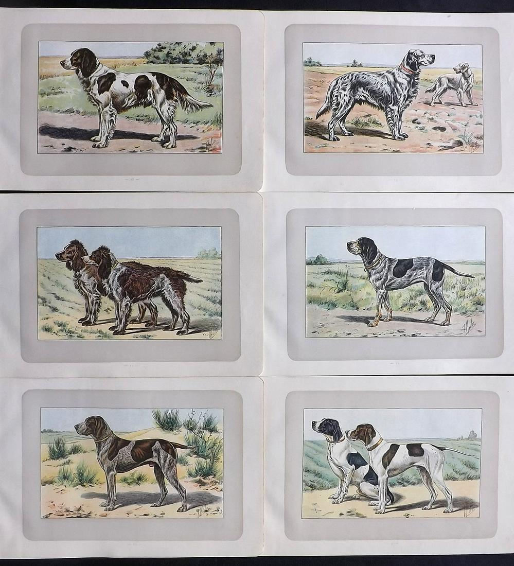 Mahler, P. 1907 Lot of 6 Antique Dog Prints (1 of 2)